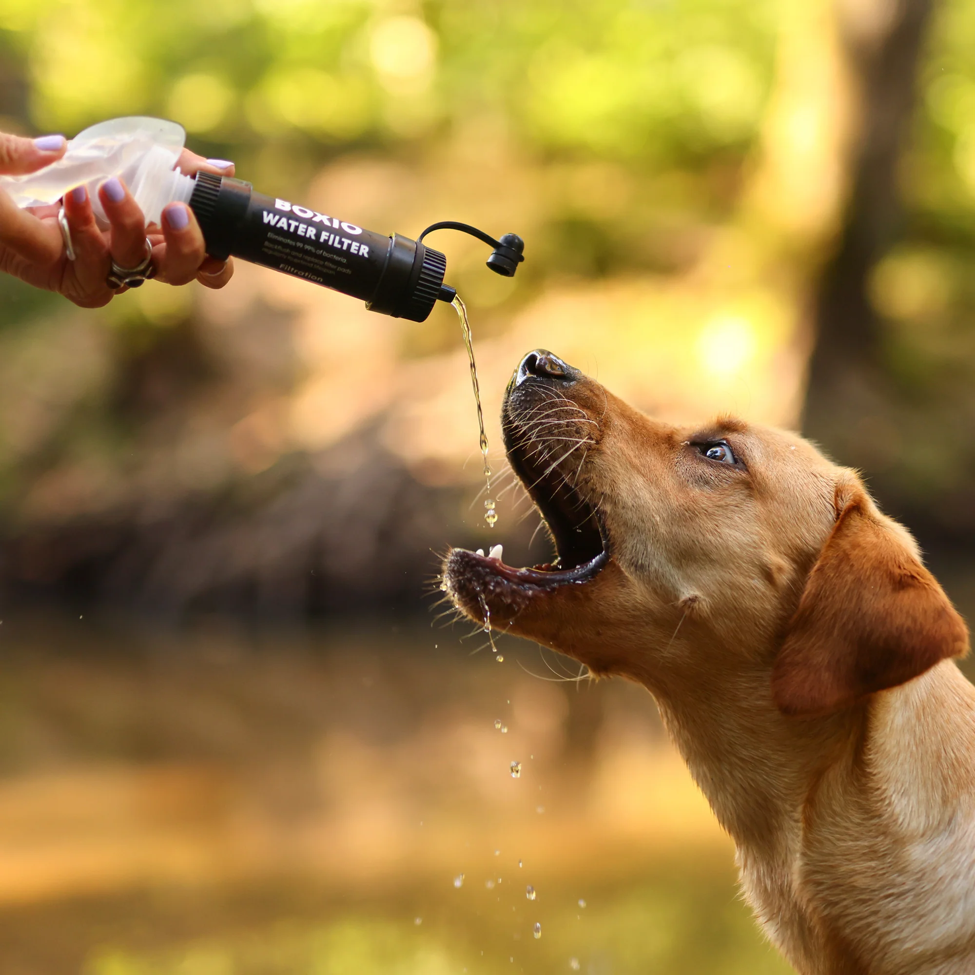 Outdoor water filter I BOXIO WATER FILTER SYSTEM - Image 14